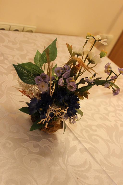 אוטנה Vidu Guest House מראה חיצוני תמונה